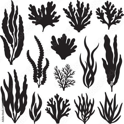Set of black silhouettes of various seaweeds and corals