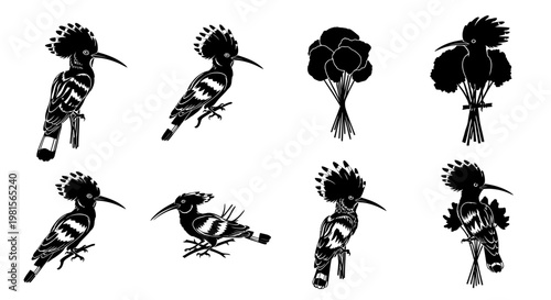 Black silhouette illustrations of hoopoe birds and flowers on white background decorative wildlife and botanical elements for design and artistic projects