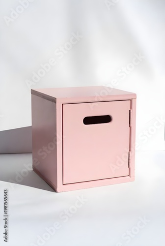 Modern Pink Cube Storage Box Small Minimalist Cabinet with Door for Home Office Decor