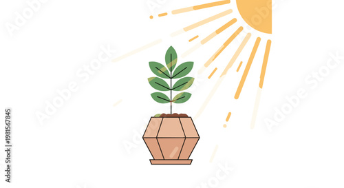 A vibrant green leafy plant thrives inside a modern geometric terracotta pot while warm golden sunbeams shine down from a bright yellow corner sun.