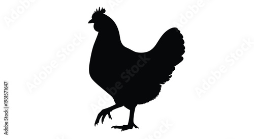 A striking silhouette of a rooster stands prominently against a white background