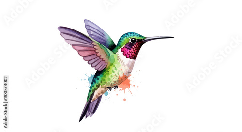 Watercolor hummingbird with colorful wings in flight, isolated on white background.