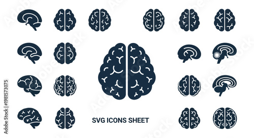 Human Brain Icons Set: Anatomy, Neurology, Medical, Science, Mind Concepts