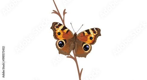 A meticulous peacock butterfly displays its large circular eye-spots while perched upon a thin brown branch against a soft and neutral white backdrop.