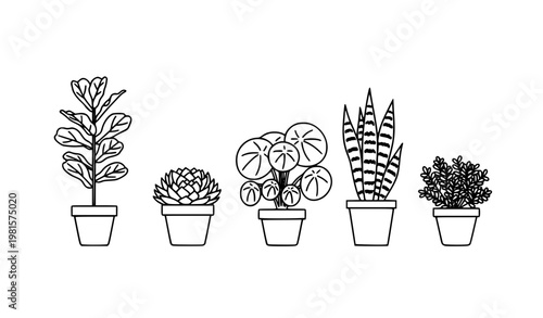 SEO Title
Minimalist potted houseplant line icon set modern indoor plant vector collection isolated on white background