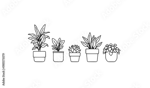 SEO Title
Minimalist potted houseplant line icon set modern indoor plant vector collection isolated on white background