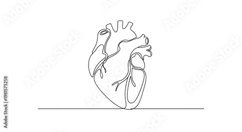 Minimalist Heart Line Art Drawing, Anatomical Heart Vector Illustration, Medical Symbol