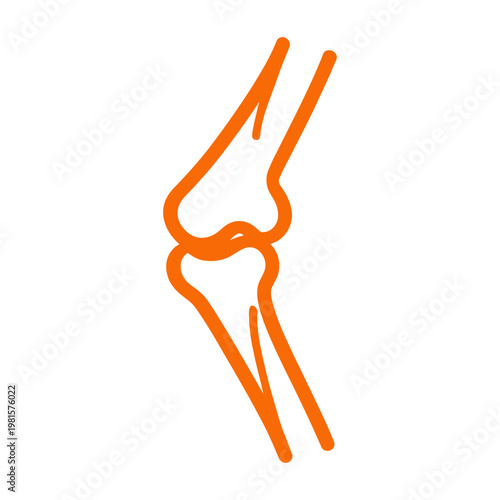 Vector of a human knee joint in orange