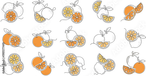 Hand drawn citrus fruit collection vector set featuring orange and lemon with sliced elements in minimal line art style isolated background