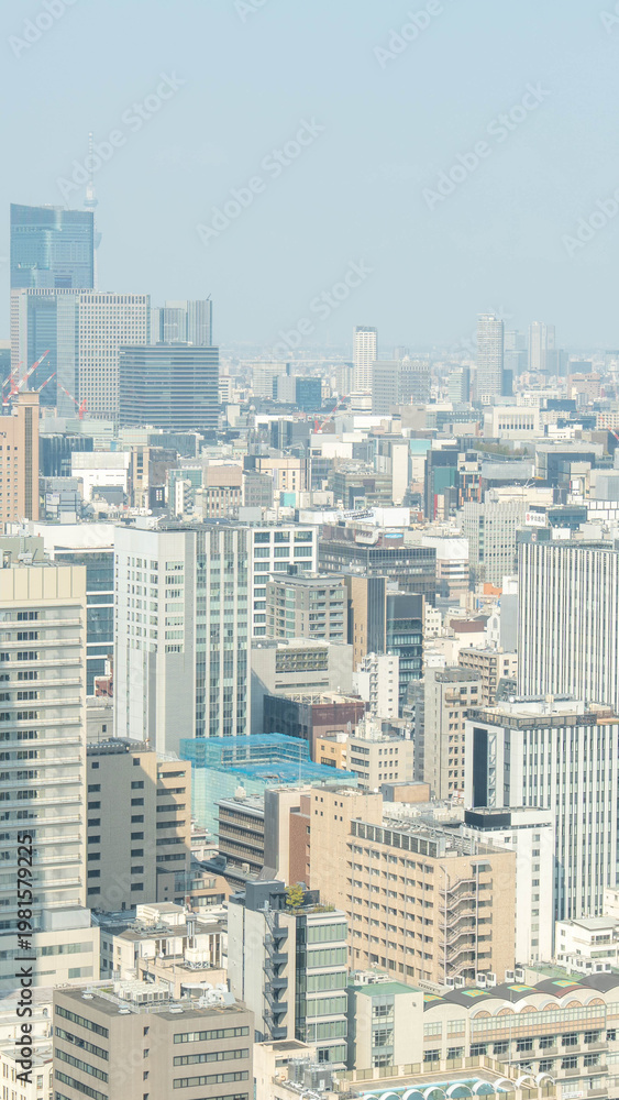 Fototapeta premium 東京の街並み