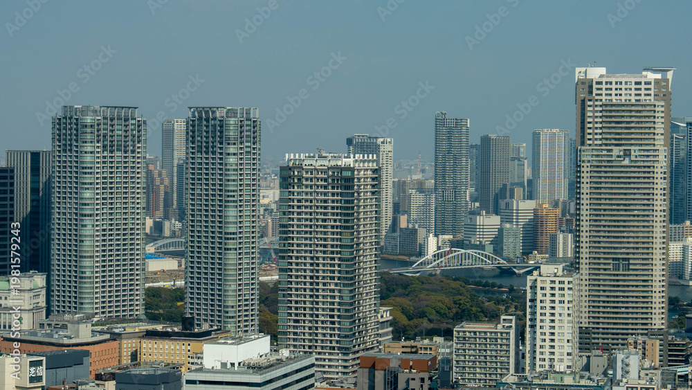 Fototapeta premium 東京の街並み