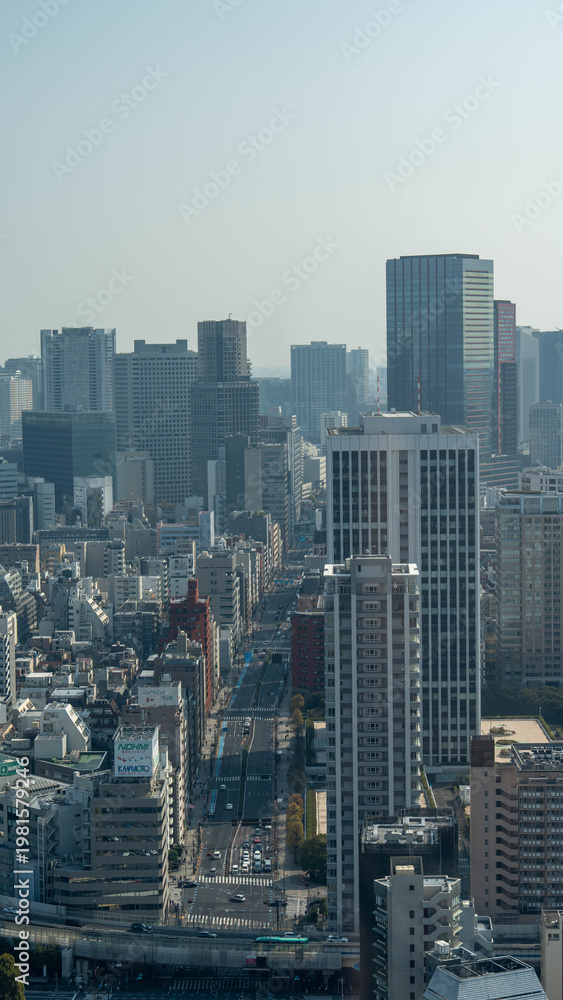 Fototapeta premium 東京の街並み