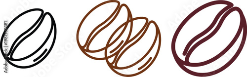 Coffee bean illustrations a trio of sketches in varying detail