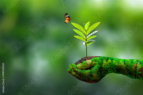 A hand holding a tree sapling amidst nature against a green bokeh background. Concept for Earth Day, World Environment Day and environmental conservation.