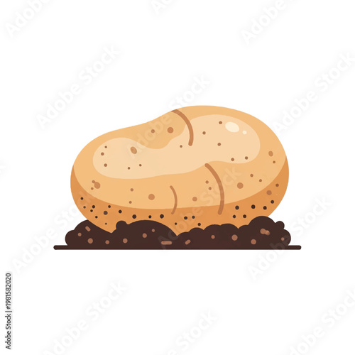 Crusty Bread Loaf on Dark Crumb Base.