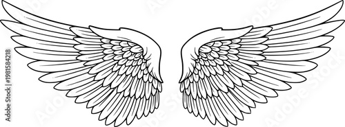 Detailed black and white line of a pair of feathered angel wings spread wide bird