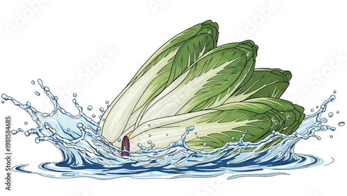 Fresh Green Lettuce Leaves in Water Splash.