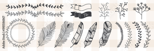 Collection of hand-drawn floral and feather designs. Includes leaves, branches, and banners. Perfect for creative projects and nature-themed art. Nature illustrations, vector set.