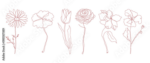 Line art of six flowers: daisy, poppy, tulip, rose, orchid, and hibiscus. Simple line art captures the essence of each flower in delicate detail. Doodle illustrations, vector set.