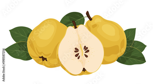 Illustration of a whole dark purple passion fruit and a half-cut fruit with vibrant yellow pulp and visible seeds surrounded by green leaves.