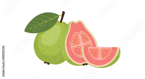 Fresh pink guava fruit illustration featuring a whole fruit with a leaf along with half and a wedge slice showing seeds and pulp details.