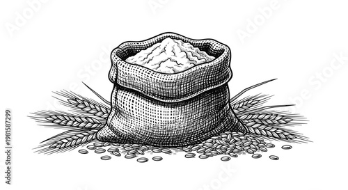 Detailed vintage engraving style illustration of a burlap sack overflowing with flour surrounded by wheat ears and scattered grains on white.