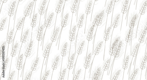 Pattern of delicate hand drawn wheat stalks and grains on a white background for bakery, farm, and organic food themes.
