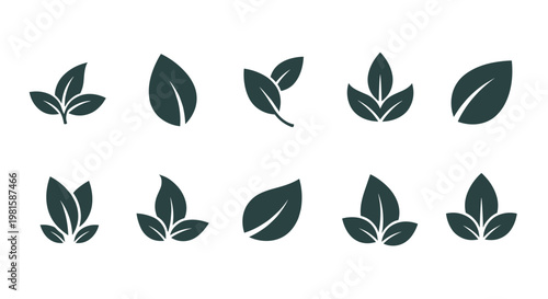 Set of dark green leaf icons in different shapes and arrangements for organic, natural, and eco friendly logo branding.