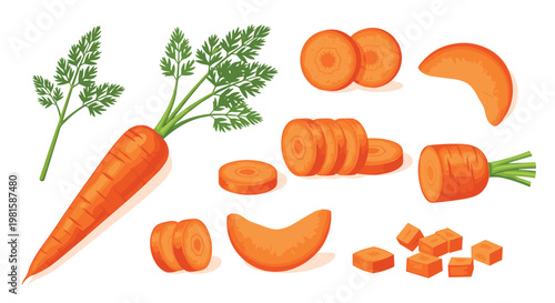 Fresh orange carrots and carrot slices in different cuts like rounds, halves, and cubes for cooking on white background.