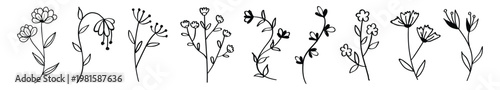 Simple black line drawings of various flowers. Delicate flower line art, featuring different flower designs. Minimalist flower illustrations in black. Doodle illustrations, vector set.