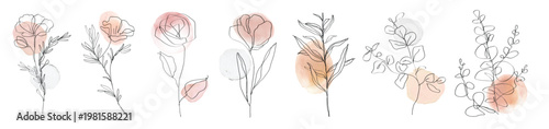 Elegant floral line art with soft watercolor accents. Delicate floral designs highlight nature's beauty. Minimalist floral illustrations for decor. Aesthetic illustrations, isolated vector set.