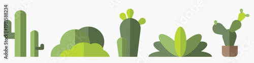 Vector illustration of green cacti and succulents. Cacti in various shapes. Succulents with leaves. Green plants in a row. Cacti and succulents in a line. Nature vector illustration set.