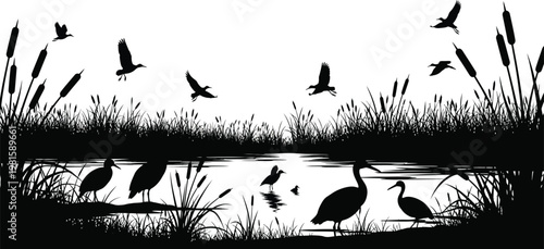 Wetland Birds Lake Silhouette Vector Nature Wildlife Landscape Background Illustration