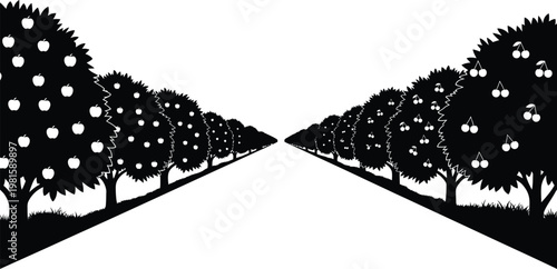 Orchard Trees Perspective Road Silhouette Vector Agriculture Landscape Background Illustration