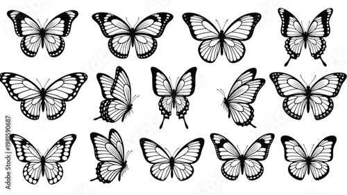 Collection of various butterfly silhouettes and detailed line drawings showing different wing patterns and flying poses in black.
