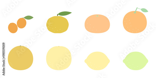 柑橘類8種のシンプルなカラーアイコンセット