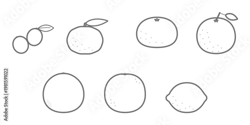 柑橘類7種のシンプルな線画アイコンセット