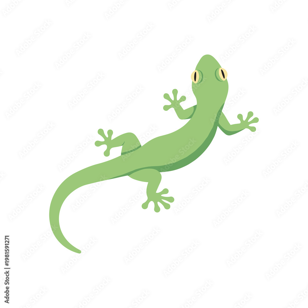 Obraz premium Simple green gecko lizard in side view with curved body and spread toes, isolated on a clean background, flat vector illustration with minimal shading and modern, playful design