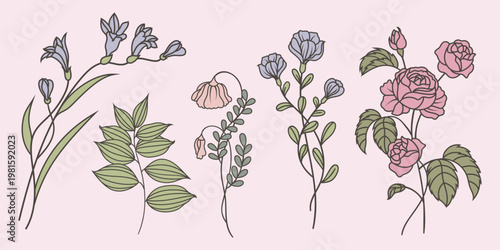 Illustration of delicate flowers, including roses and leaves. Floral design with roses, leaves, and other flowers. Soft colors enhance the floral and leaf details. Spring flower illustrations, vectors
