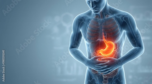 Human body with highlighted stomach pain area showing digestive system discomfort, medical healthcare illustration diagnosis treatment awareness, gastrointestinal health 