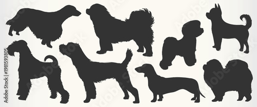 Silhouettes of various dog breeds, including poodles, dachshunds, and terriers. Each dog silhouette highlights unique features, showcasing diverse dog shapes. Animal illustrations, element vector set.