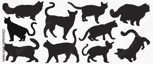 Silhouettes of various cats in different poses. Cats walking, sitting, and stretching. Black cat silhouettes on a white background. Feline shapes and outlines. Animal illustrations, vector set.