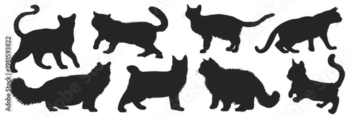 Silhouettes of various cats in different poses. Black cat silhouettes, feline shapes, cat outlines. Cats walking, sitting, and stretching in silhouette. Animal illustrations, isolated element vectors.