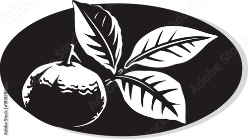 Graphic black and white fruit with leaves, inside oval, flat design