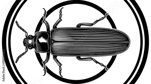 Engraved style illustration of a beetle inside a double ring, in black and white