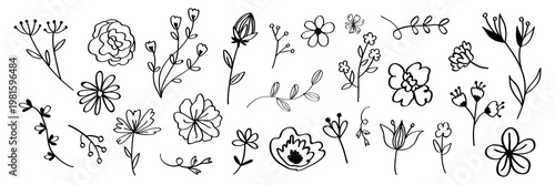 Black and white floral doodles featuring various flowers and leaves. Floral designs include daisies, roses, and buds. Simple floral sketches for creative projects. Minimal floral element vector set.