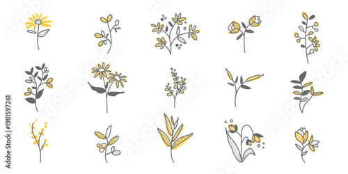 Minimalist floral illustrations in yellow and gray. Simple floral designs, featuring various flowers and leaves. Elegant and modern floral elements. Floral illustrations, isolated vector set.
