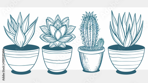 Artistic sketch showcasing four potted succulents and cacti with detailed linework