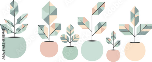 Five abstract potted plants with geometric-patterned leaves and pastel-colored spherical pots are arranged horizontally.