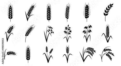 Collection of Grain and Cereal Icons: Wheat, Oats, Barley, Rice Silhouettes